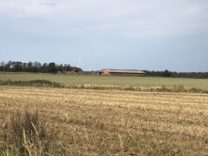 Kogsbøl Ladegård