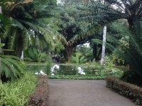 Botanisk have