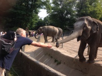 Tierpark Hagenbeck