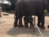 Tierpark Hagenbeck